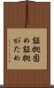 証拠固め Scroll