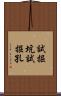 試掘坑 Scroll