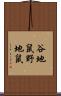 谷地鼠 Scroll