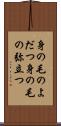 身の毛のよだつ Scroll