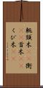 軛 Scroll