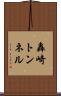 轟崎トンネル Scroll