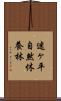 迷ヶ平自然休養林 Scroll