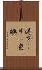 逆フーリェ変換 Scroll