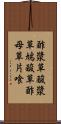 酢漿草 Scroll