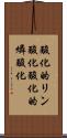 酸化的リン酸化 Scroll