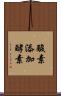 酸素添加酵素 Scroll