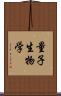 量子生物学 Scroll