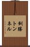 釧勝トンネル Scroll