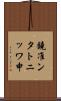 鐃准ンタトニッワ申 Scroll