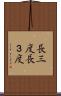 長三度 Scroll