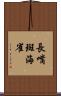 長嘴斑海雀 Scroll
