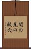 関の尾の甌穴 Scroll