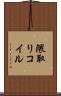 隈取りコイル Scroll