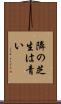隣の芝生は青い Scroll