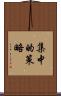 集中的策略 Scroll