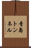青島トンネル Scroll