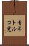 青年トルコ党 Scroll