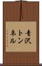 青沢トンネル Scroll