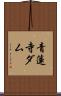 青蓮寺ダム Scroll