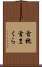首枕 Scroll
