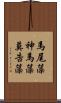 馬尾藻 Scroll