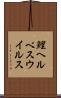 鯉ヘルペスウイルス Scroll