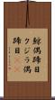 鯨偶蹄目 Scroll