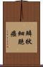 鱗狀細胞癌 Scroll