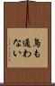 鳥も通わない Scroll