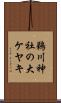 鵜川神社の大ケヤキ Scroll