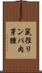 鼠径リンパ肉芽腫 Scroll