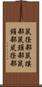 鼠径部 Scroll