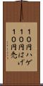 １０円ハゲ Scroll