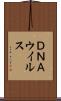 ＤＮＡウイルス Scroll