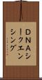 ＤＮＡシークエンシング Scroll
