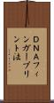 ＤＮＡフィンガープリント法 Scroll