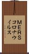ＭＥＲＳコロナウイルス Scroll