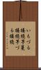 いもづる接続 Scroll