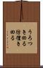 うろつき回る Scroll