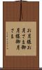 お月様 Scroll