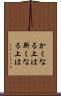 かくなる上は Scroll