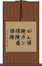 がん保険 Scroll