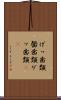 げっ歯類 Scroll