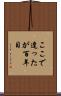 ここで逢ったが百年目 Scroll