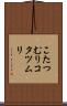こたつむり Scroll