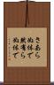 さあらぬ体で Scroll