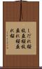 しだれ桜 Scroll