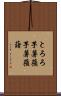 とろろ芋 Scroll