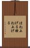 はね上げる Scroll